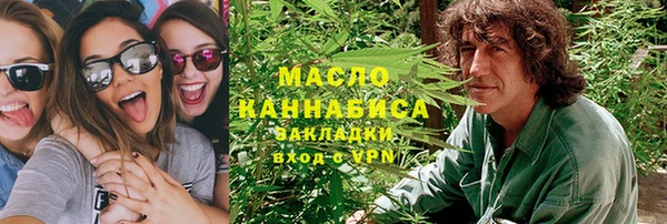 гидропоника Горняк